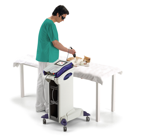 Laserterapie uz veterinar - Mphi Trolley
